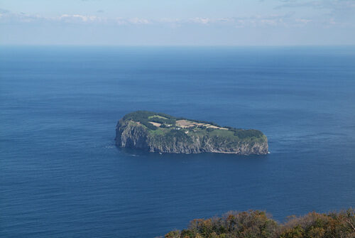 죽도